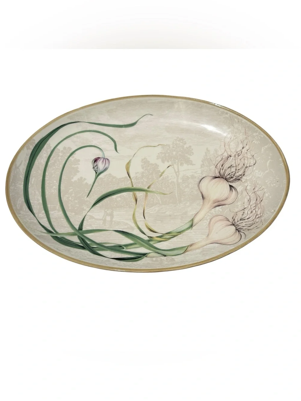 Williams Sonoma Garlic Serving Platter Portugal Oval Ceramic Farmhouse Kitchen